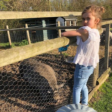 Willow Court Farm Studio East & Petting Farm, 8 Mins To Legoland & Windsor, 15 Mins To Lapland Uk Экстерьер фото