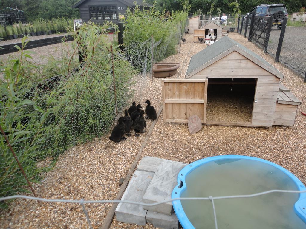 Willow Court Farm Studio East & Petting Farm, 8 Mins To Legoland & Windsor, 15 Mins To Lapland Uk Экстерьер фото