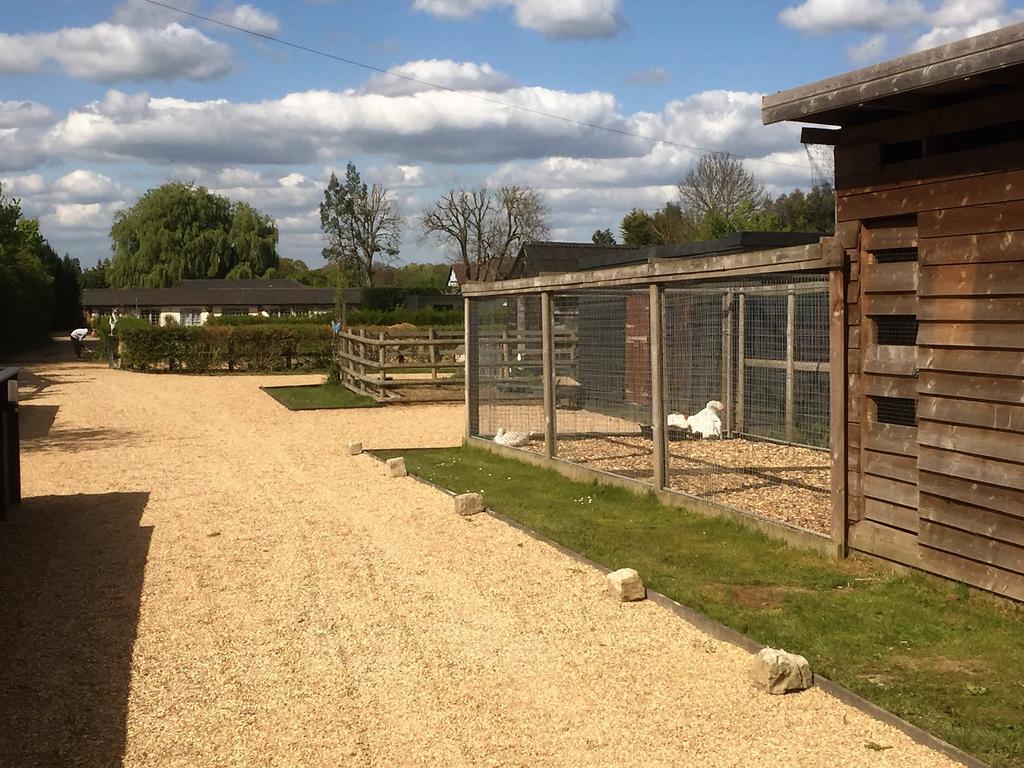 Willow Court Farm Studio East & Petting Farm, 8 Mins To Legoland & Windsor, 15 Mins To Lapland Uk Экстерьер фото