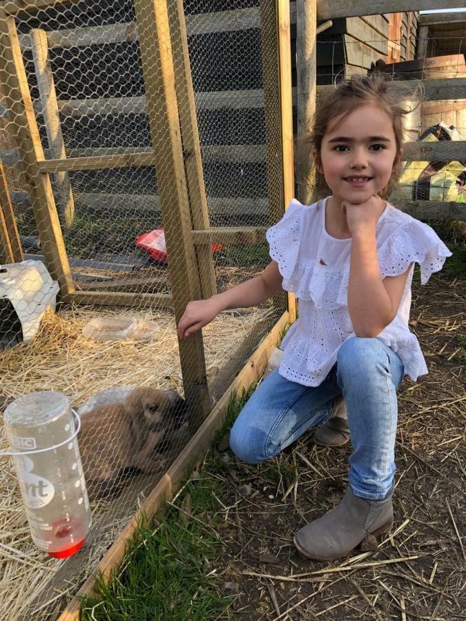 Willow Court Farm Studio East & Petting Farm, 8 Mins To Legoland & Windsor, 15 Mins To Lapland Uk Экстерьер фото
