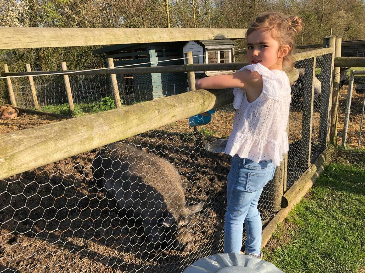 Willow Court Farm Studio East & Petting Farm, 8 Mins To Legoland & Windsor, 15 Mins To Lapland Uk Экстерьер фото