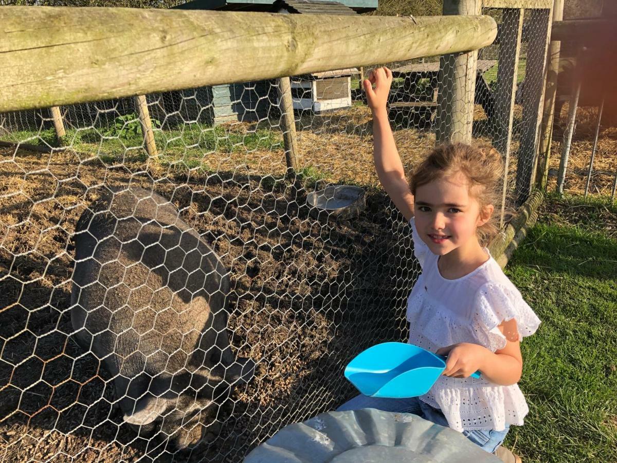 Willow Court Farm Studio East & Petting Farm, 8 Mins To Legoland & Windsor, 15 Mins To Lapland Uk Экстерьер фото